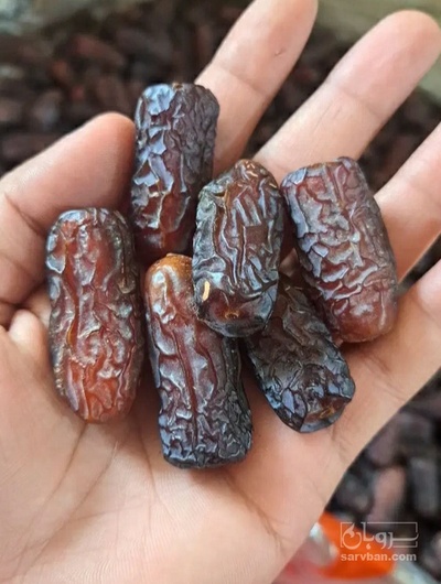 فروش خرما پیارم