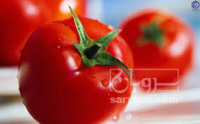 فروش گوجه فرنگی