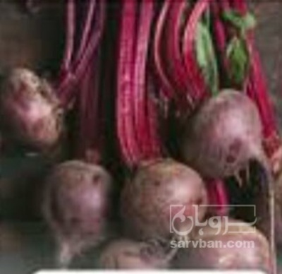 فروش چغندر لبو