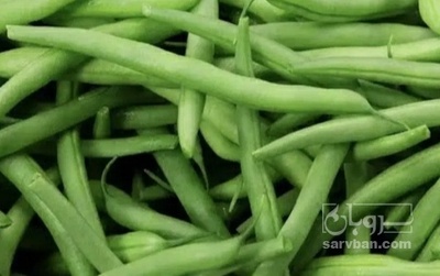 فروش لوبیا سبز