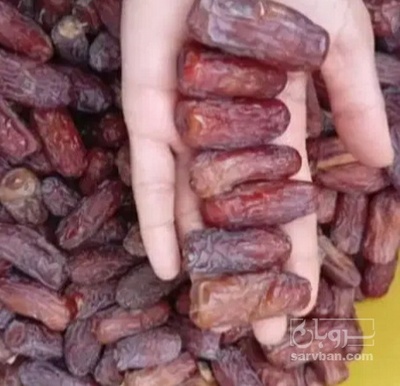 فروش خرما پیارم