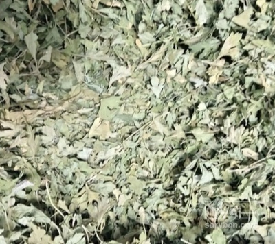 فروش گشنیز خشک