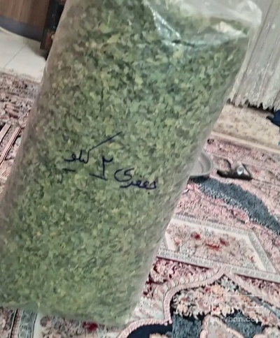 فروش  جعفری خشک  (گیاه‌ دارویی)