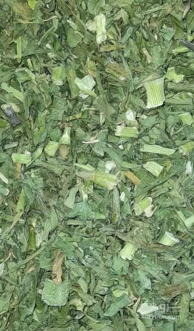 فروش اسفناج