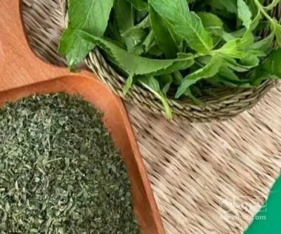 فروش نعناع خشک (گیاه‌ دارویی)