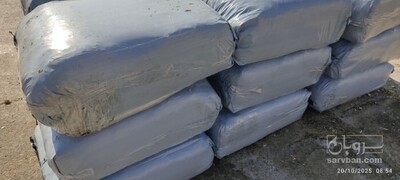 فروش ذرت علوفه ای