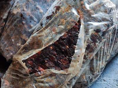 فروش خرماصنعتی