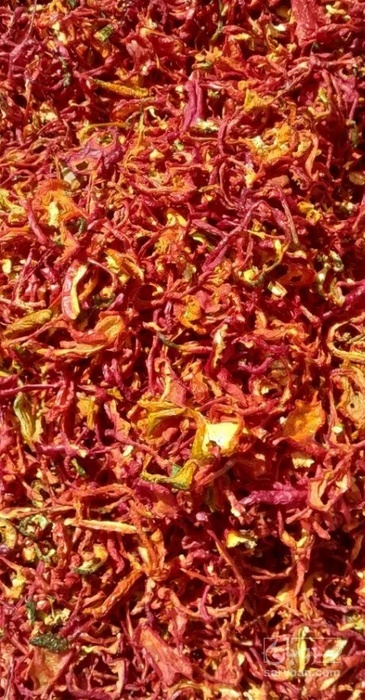 فروش فلفل پاپریکا