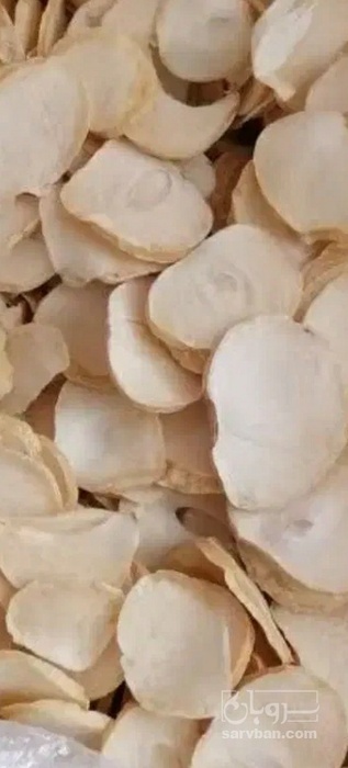 فروش سیر خشک -