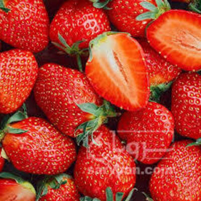 فروش توت فرنگی