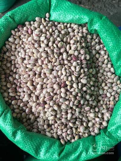 فروش لوبیا چیتی