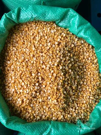 فروش نخود کفتری - لپه