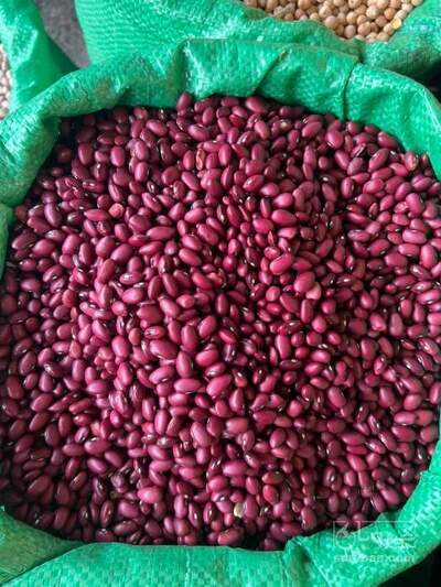 فروش لوبیا قرمز