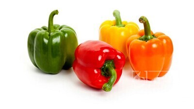 فروش فلفل دلمه ای