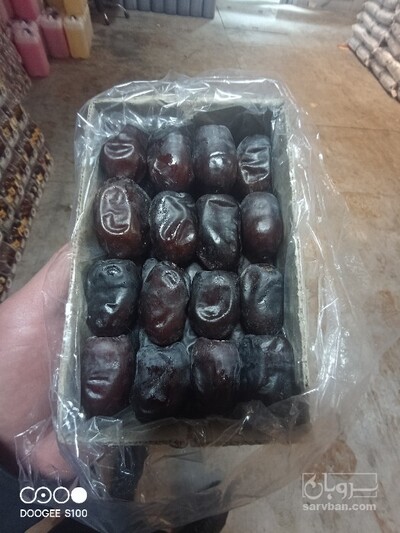 فروش خرما مضافتی