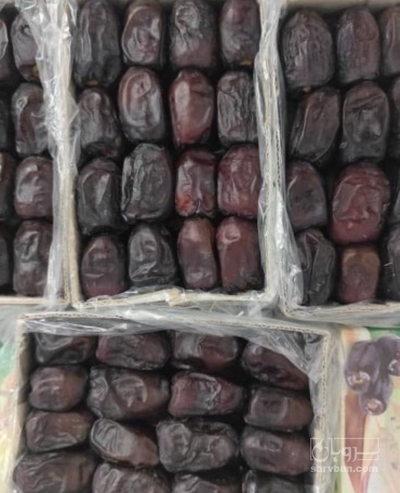 فروش خرما