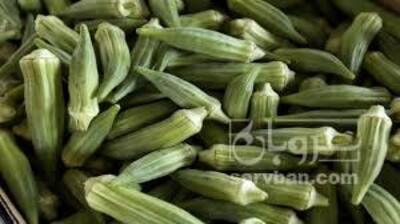 فروش بامیه