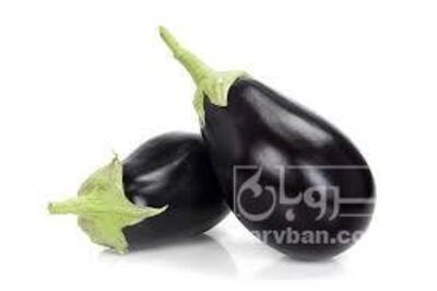 فروش بادمجان