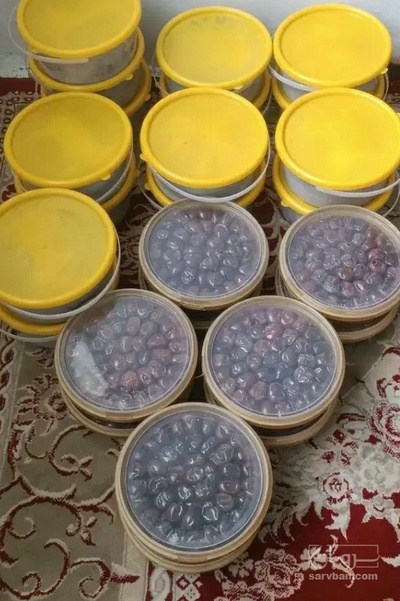 فروش خرما برحی