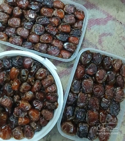 فروش خرما گنتار