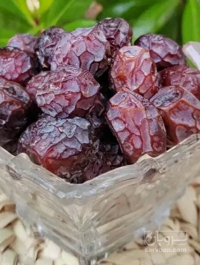 فروش خرما برحی