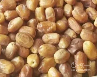 فروش خرما زاهدی