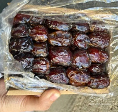 فروش خرما کبکاب