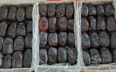 فروش خرما مضافتی