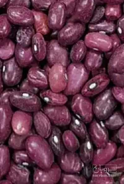 فروش لوبیا قرمز