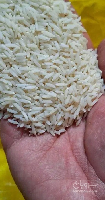فروش برنج