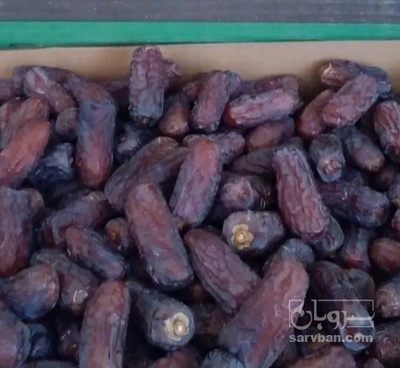 فروش خرما پیارم