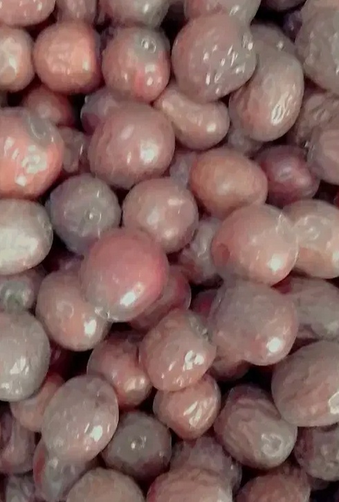 فروش عناب دارویی