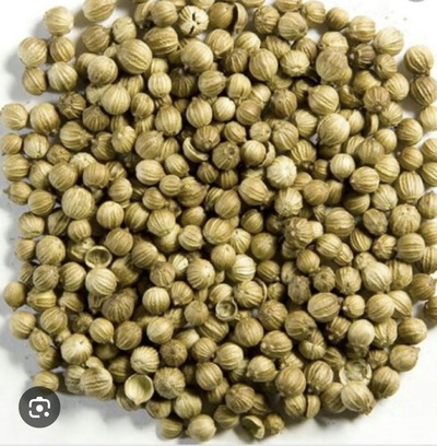 خریدتخم گشنیز (گیاه‌ دارویی)