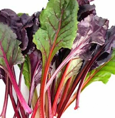 فروش سویس  چارد