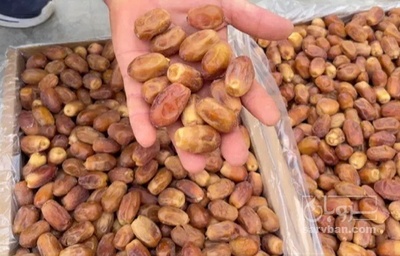 فروش خرما زاهدی