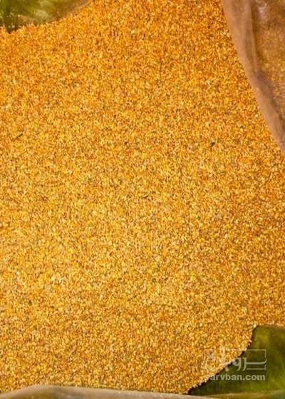 فروش خاکشیر (گیاه‌ دارویی)