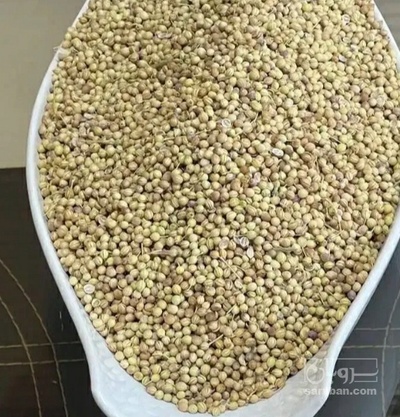 فروش تخم گشنیز (گیاه‌ دارویی)