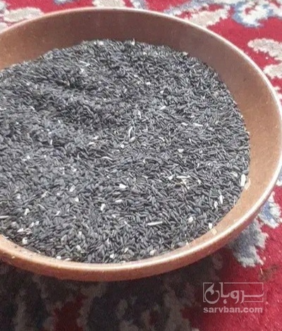 فروش تخم شربتی (گیاه‌ دارویی)