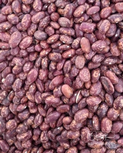 فروش لوبیا قرمز