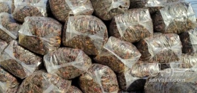 فروش خرما لواشکی