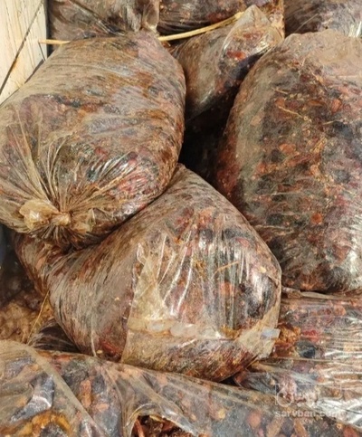 فروش خرما پیارم ضایعاتی