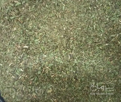 فروش زولنگ  چوقاق خشک