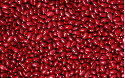 فروش لوبیا قرمز