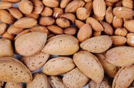 فروش بادام