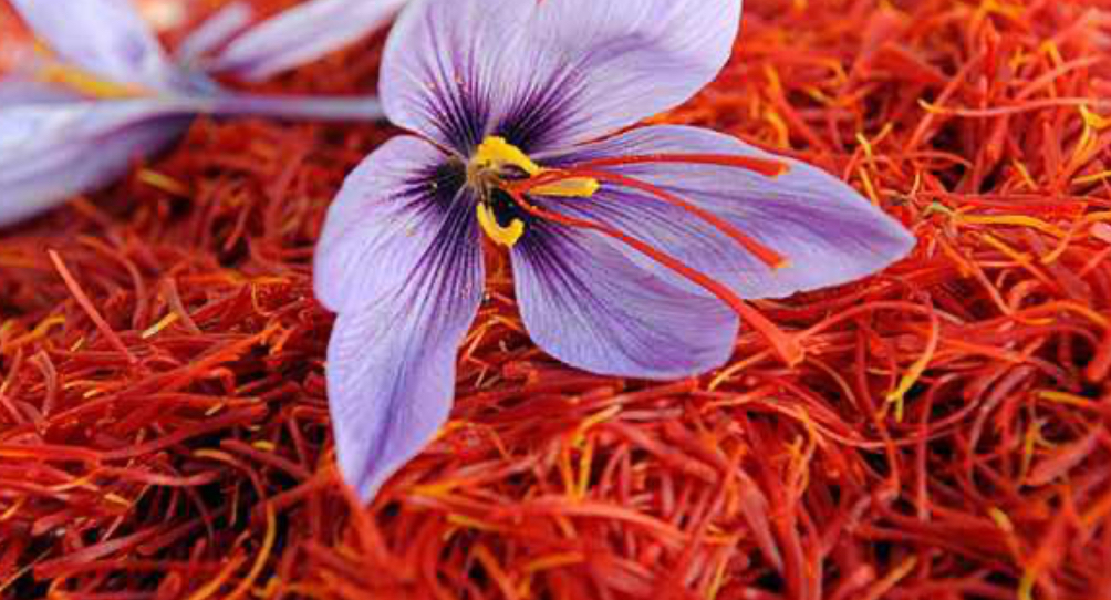 فروش زعفران (گیاه‌ دارویی)