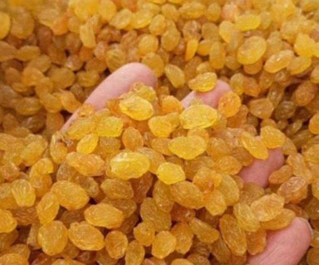 فروش کشمش زرد پلویی