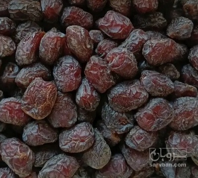 فروش خرما کلوته