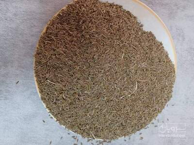 فروش زیره (گیاه‌ دارویی)