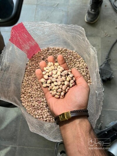 فروش لوبیا چیتی