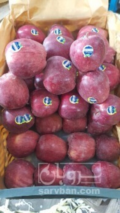 فروش سیب